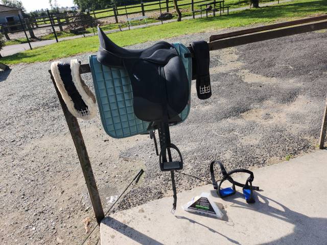 Sella da dressage Wintec  18" - 2019