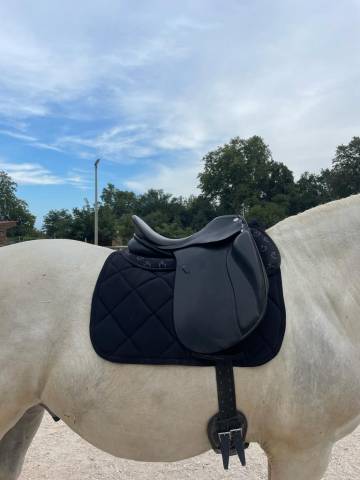 Sella da dressage Zaldi  16.5" - 2018