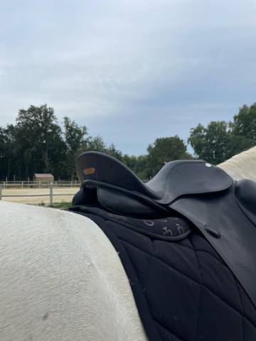 Sella da dressage Zaldi  16.5" - 2018