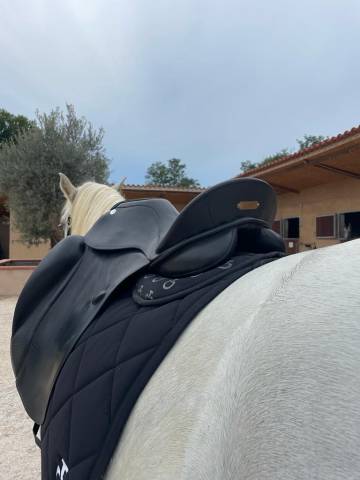 Sella da dressage Zaldi  16.5" - 2018