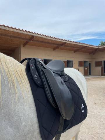 Sella da dressage Zaldi  16.5" - 2018