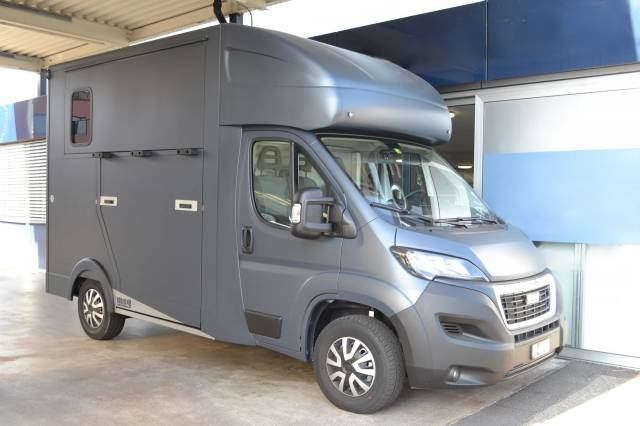 Van per Cavalli Altra marca PEUGEOT 0 Nuovo