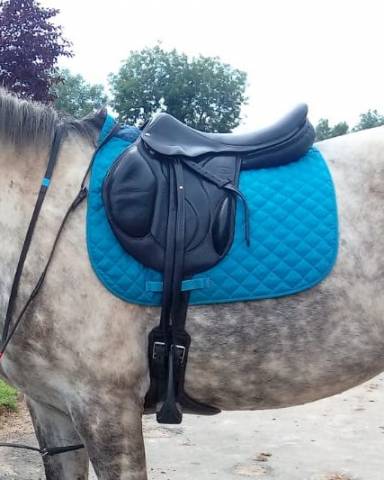 Sella da cross Devoucoux  17.5" - 2012