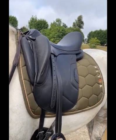 Sella da dressage Antarès  17.5" - 2021