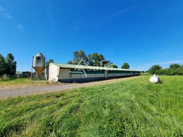 Azienda agricola In vendita Hautes-Pyrénées