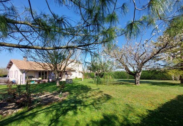 Azienda ovina In vendita Gironde