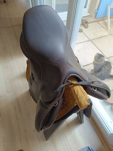 Sella mista Childeric  17.5" - 2017