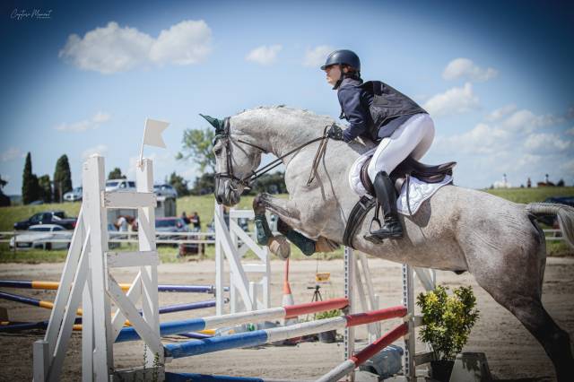 Sella mista Childeric  17.5" - 2017