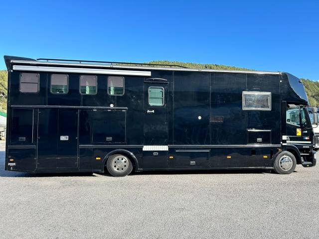 Camion per Cavalli Iveco STX 2005 Occasione