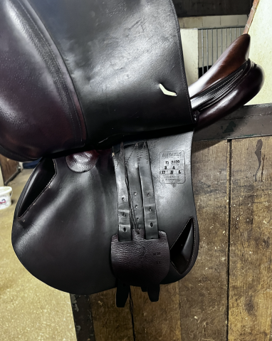 Sella da salto ostacoli Antarès  17.5" - 2015