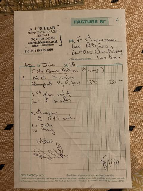 Sella mista KENT & MASTERS HW (Hight-Wither) haut garrot 17.5" - 2016