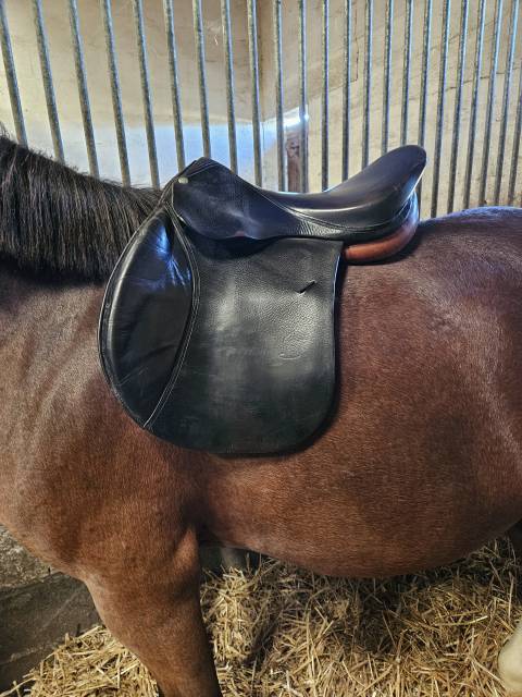 Sella da salto ostacoli Forestier  16.5" - 2000