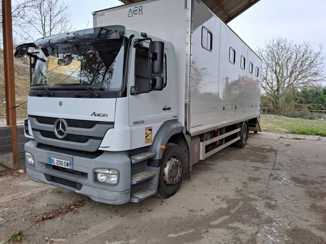 Camion per Cavalli Mercedes AXOR 1829 2011 Occasione
