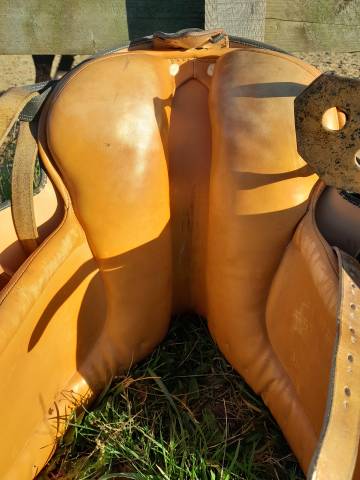 Sella spagnola  LUDOMAR Alta Escuela 17.5" - 2017