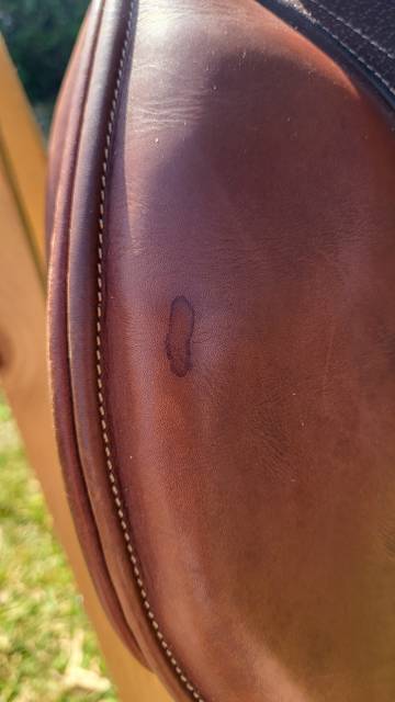 Sella da salto ostacoli Hervé Godignon  17" - 2015