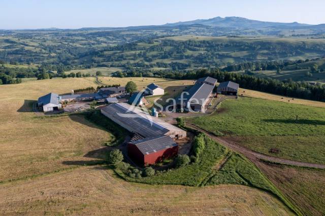 Azienda agricola In vendita Cantal