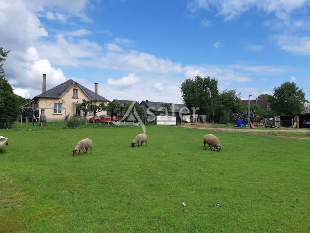 Azienda agricola In vendita Haute-Vienne