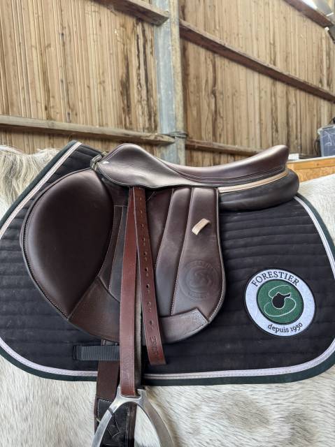 Sella mista Forestier  18" - 2023