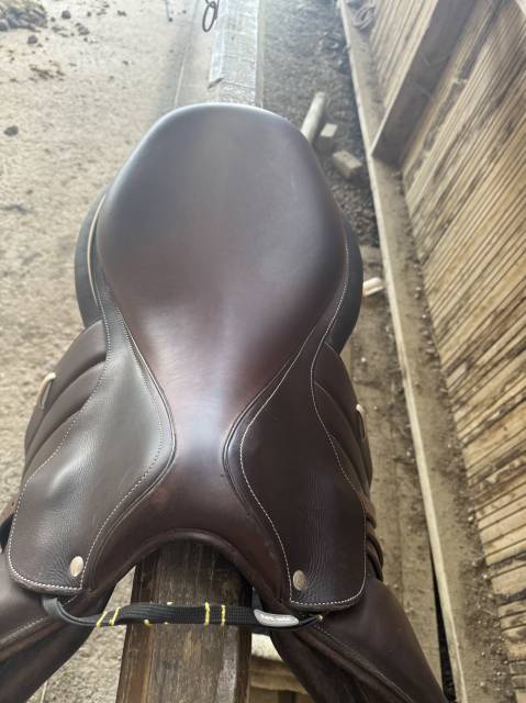 Sella mista Forestier  18" - 2023