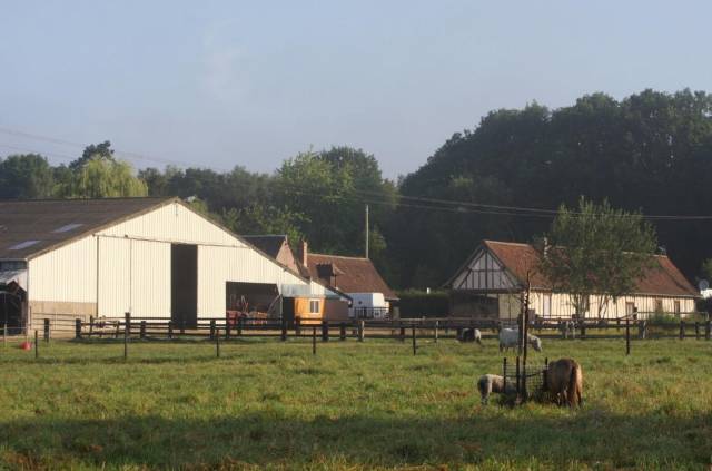 Proprietà equestre In vendita Seine-Maritime