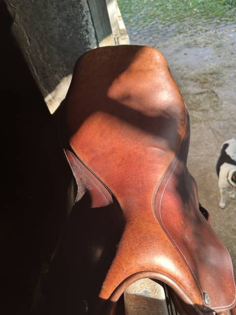 Sella da salto ostacoli Pessoa  17.5" - 1997