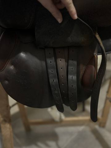 Sella da salto ostacoli Butet  17" - 2012