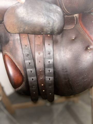 Sella da salto ostacoli Butet  17" - 2012