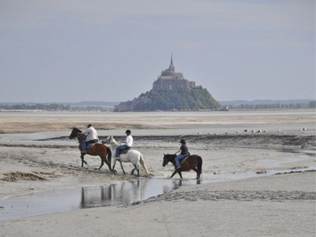 Proprietà di equiturismo In vendita Ile-et-Vilaine