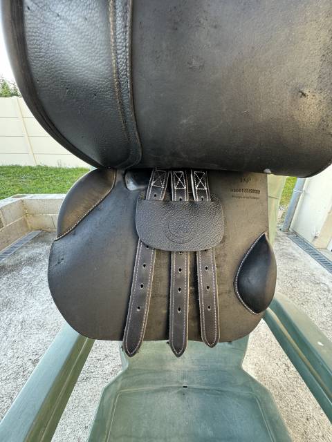 Sella mista Privilège Equitation  17.5" - 2023