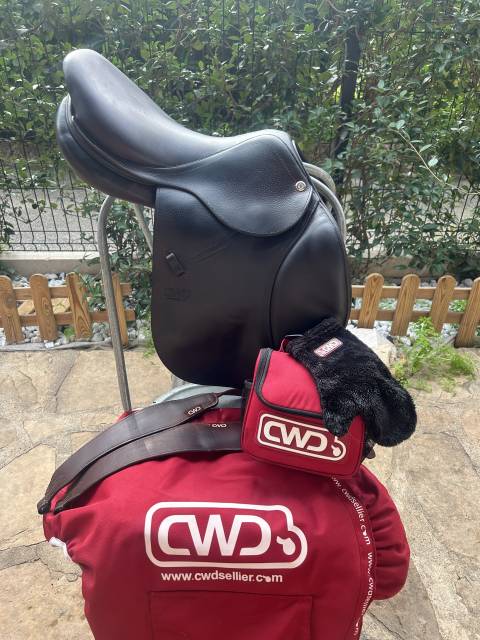 Sella mista CWD  17" - 2016