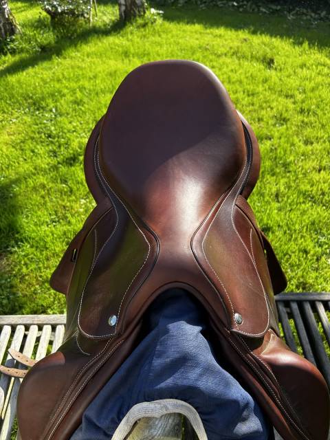 Sella da cross Arion Arion cross country  17.5" - 2021