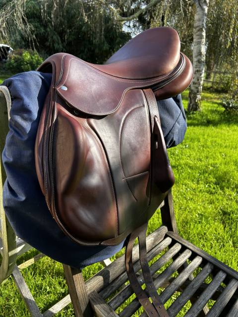 Sella da cross Arion Arion cross country  17.5" - 2021