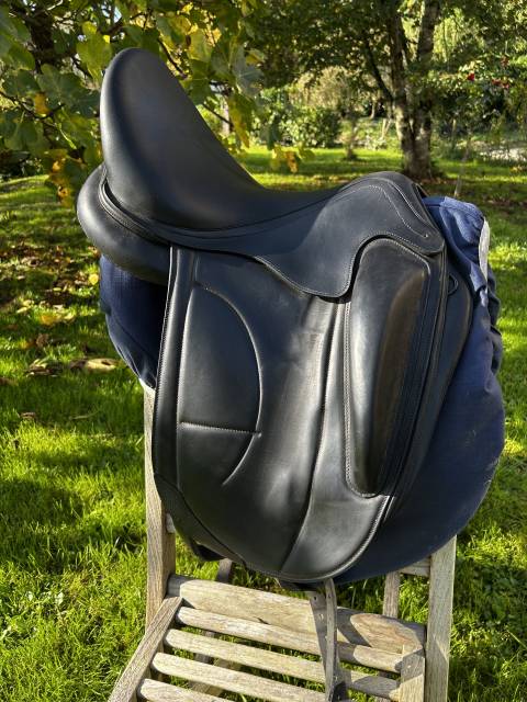 Sella da dressage Arion Arion  17.5" - 2021