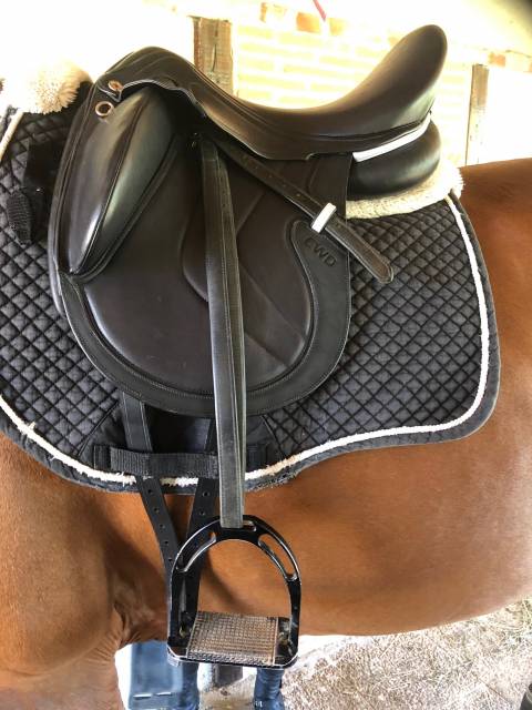 Sella da dressage CWD  17.5" - 2020