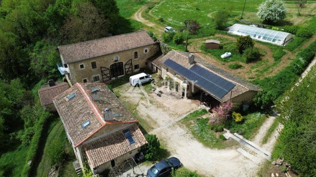Azienda agricola In vendita Deux-Sèvres
