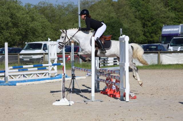 Cavalla PFS Pony Francese da Sella In vendita 2020 Grigio