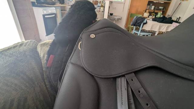 Sella da dressage Norton  17" - 2023