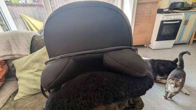 Sella da dressage Norton  17" - 2023