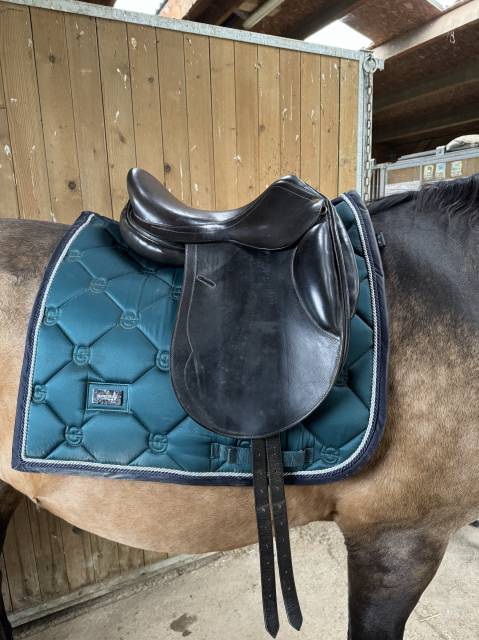 Altra sella  Dressage  16.5" - 2015
