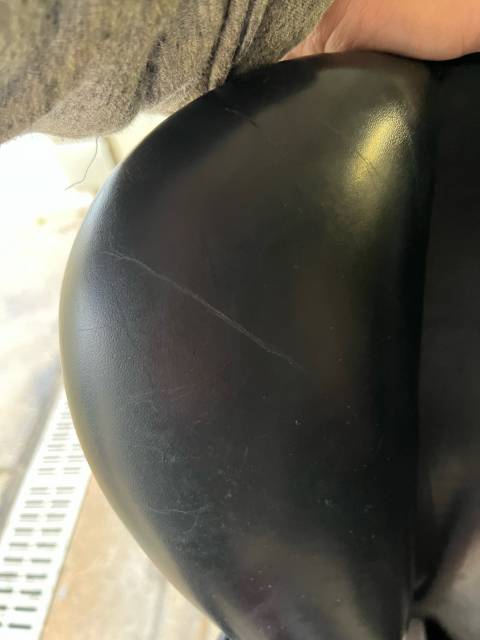 Sella mista Henri de Rivel  17.5" - 2010