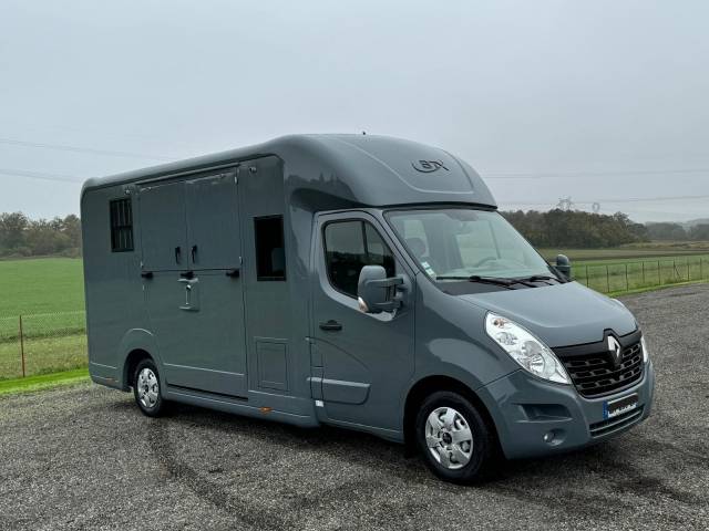 Van per Cavalli STX RENAULT 2016 Occasione