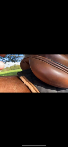 Sella mista Eric Thomas  17.5" - 2021