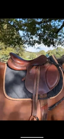 Sella mista Eric Thomas  17.5" - 2021