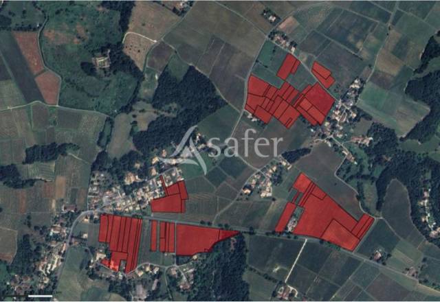 Azienda viticola / Vigneto In vendita Gironde