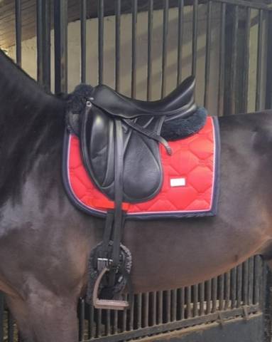 Sella da dressage Devoucoux  17.5" - 2009