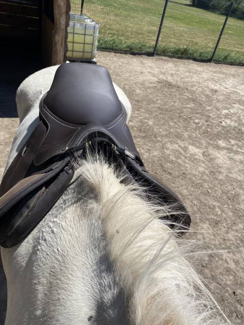 Sella mista Norton  17" - 2021