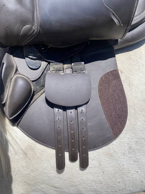 Sella mista Norton  17" - 2021