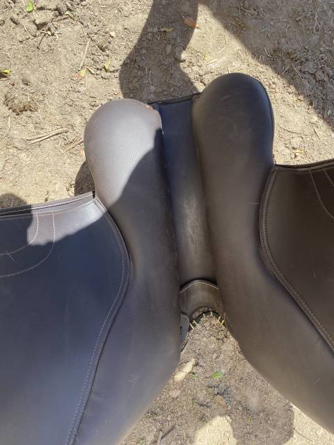 Sella mista Norton  17" - 2021