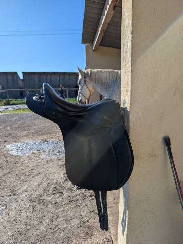 Sella da trekking Forestier TREC 17.5" - 2015