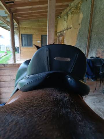 Sella da dressage Antarès  17.5" - 2022